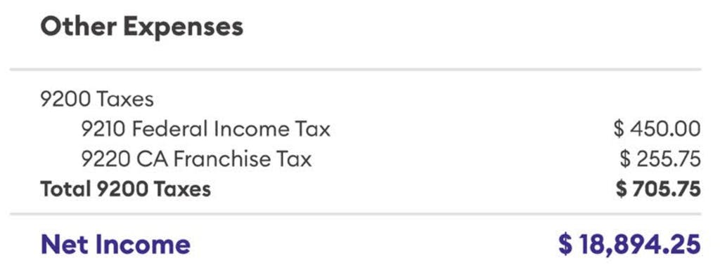 Other expenses profit and loss statement